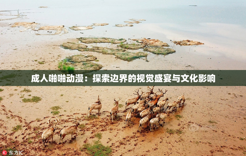 成人啪啪动漫：探索边界的视觉盛宴与文化影响