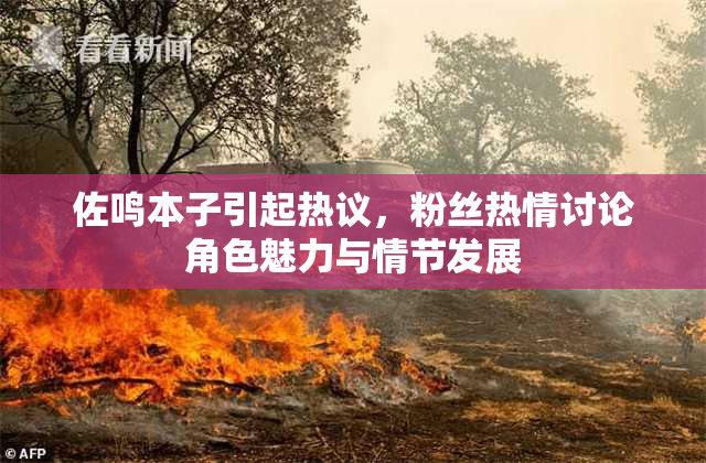 佐鸣本子引起热议，粉丝热情讨论角色魅力与情节发展
