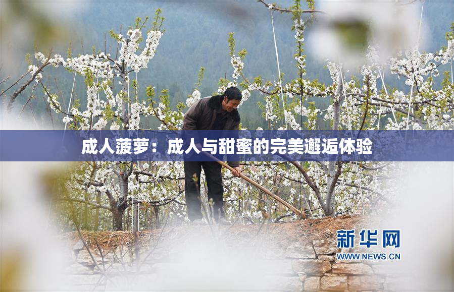 成人菠萝：成人与甜蜜的完美邂逅体验