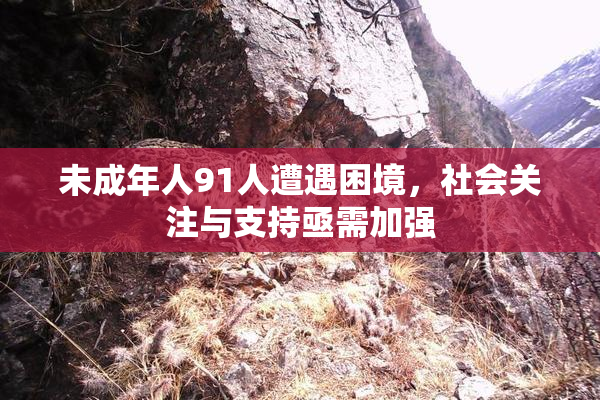未成年人91人遭遇困境，社会关注与支持亟需加强