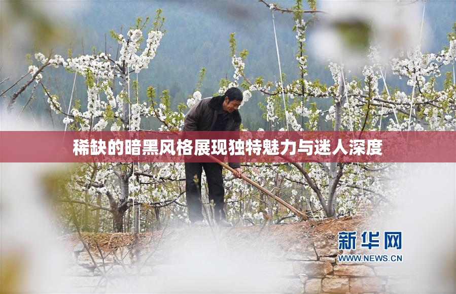 稀缺的暗黑风格展现独特魅力与迷人深度