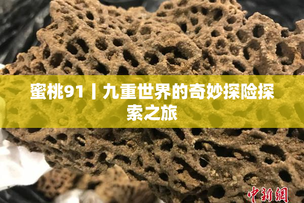 蜜桃91丨九重世界的奇妙探险探索之旅