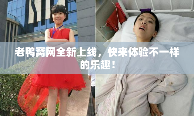 老鸭窝网全新上线，快来体验不一样的乐趣！