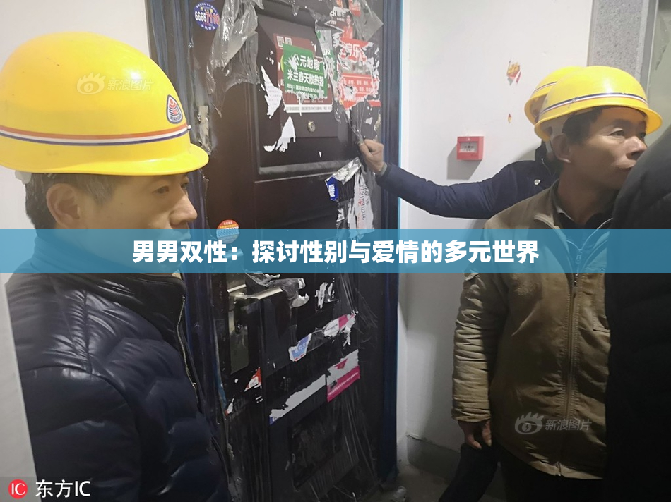 男男双性：探讨性别与爱情的多元世界