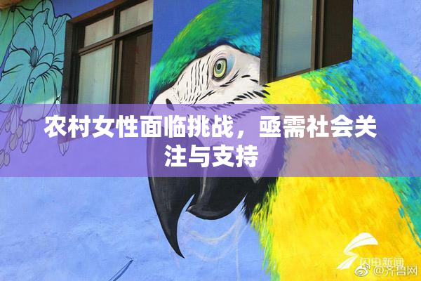 农村女性面临挑战，亟需社会关注与支持