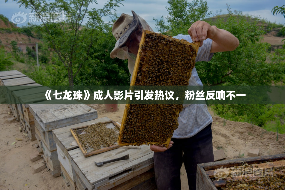 《七龙珠》成人影片引发热议，粉丝反响不一