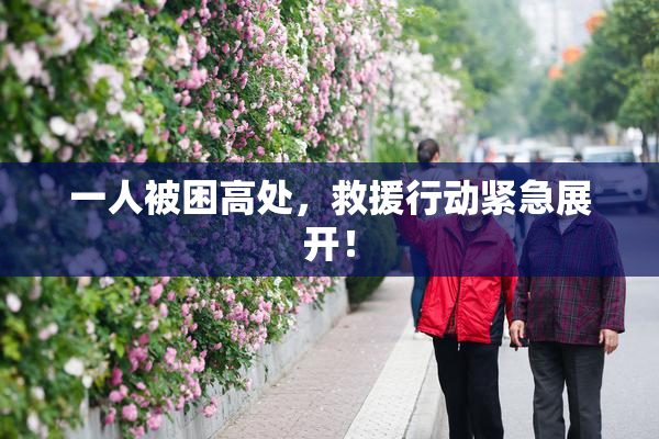一人被困高处，救援行动紧急展开！