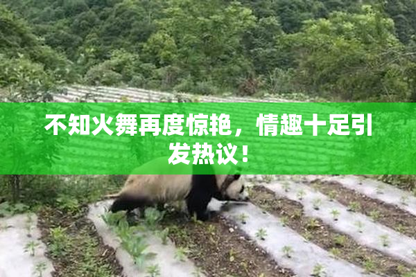 不知火舞再度惊艳，情趣十足引发热议！