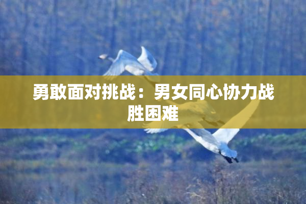 勇敢面对挑战：男女同心协力战胜困难