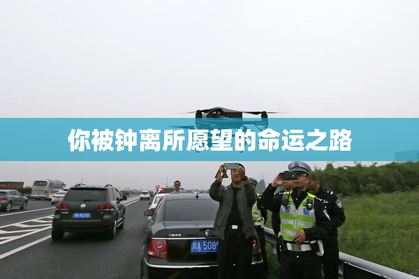 你被钟离所愿望的命运之路