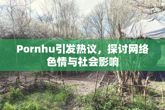 Pornhu引发热议，探讨网络色情与社会影响