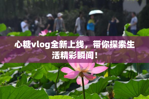 心糖vlog全新上线，带你探索生活精彩瞬间！