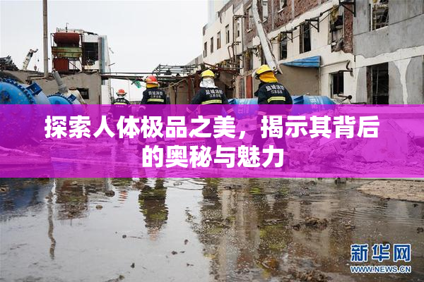 探索人体极品之美，揭示其背后的奥秘与魅力