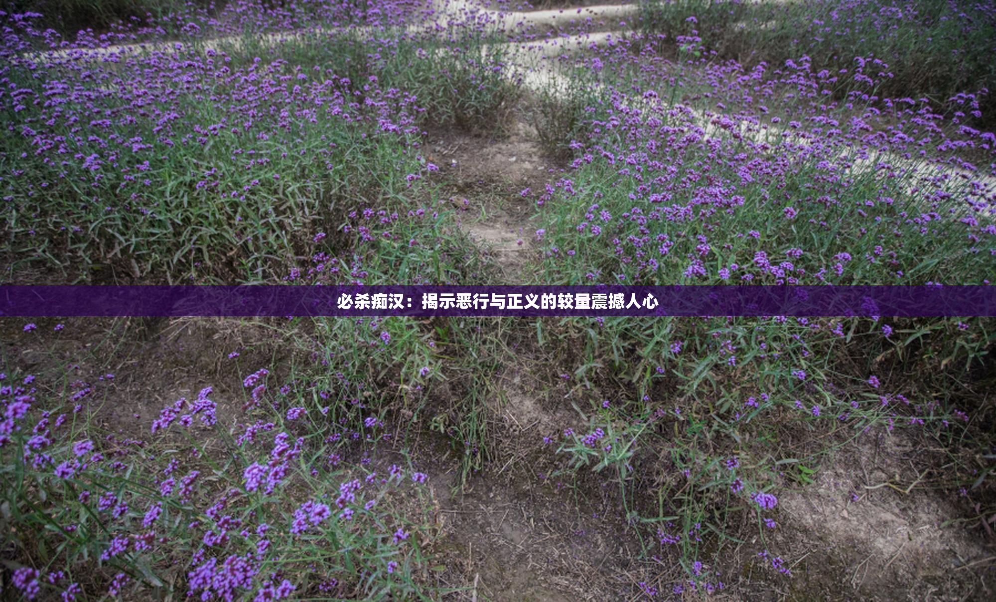 必杀痴汉：揭示恶行与正义的较量震撼人心