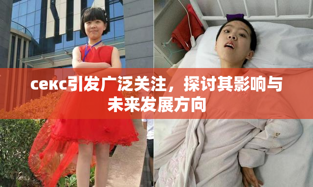 ceкс引发广泛关注，探讨其影响与未来发展方向