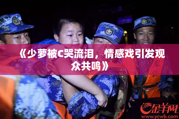 《少萝被C哭流泪，情感戏引发观众共鸣》