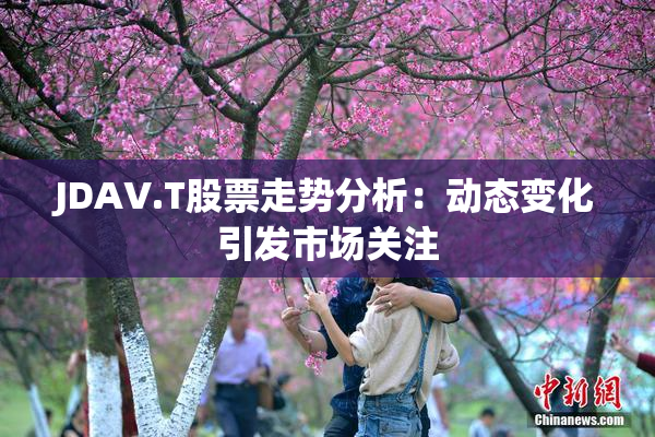 JDAV.T股票走势分析：动态变化引发市场关注