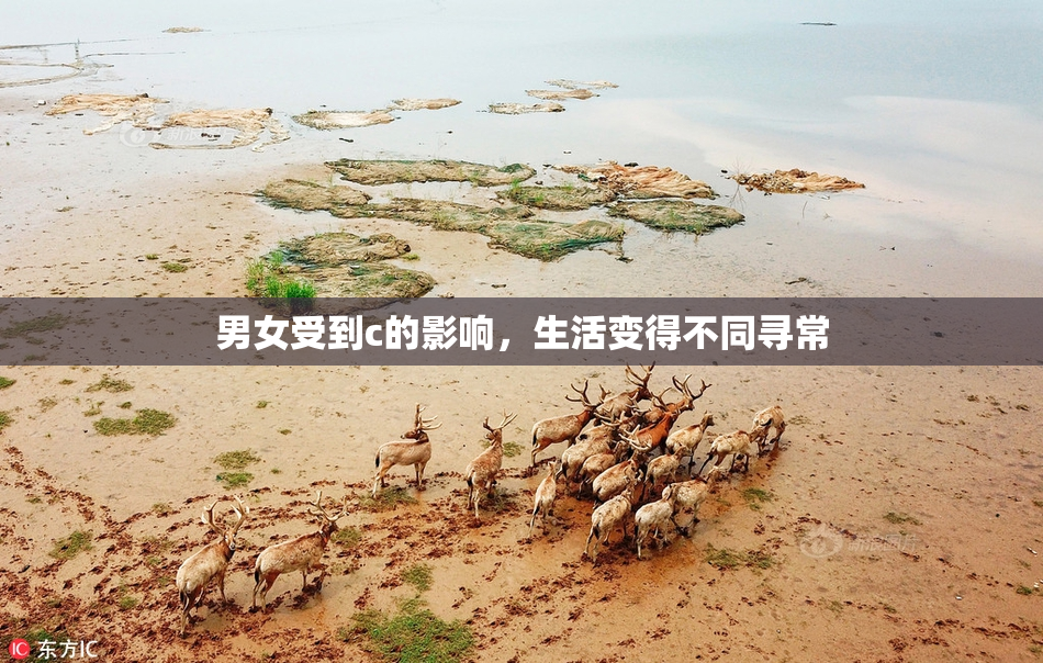 男女受到c的影响，生活变得不同寻常