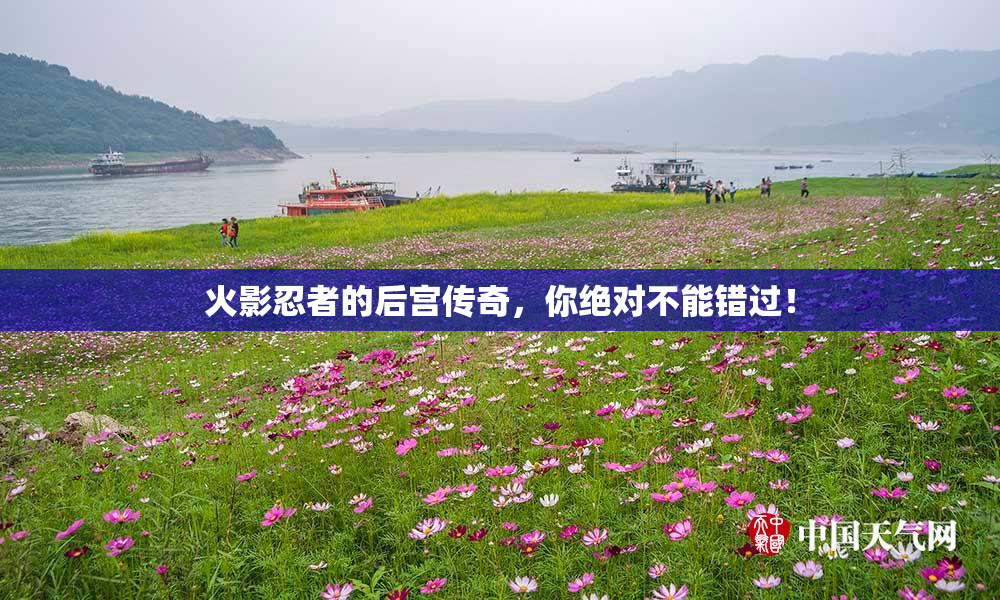 火影忍者的后宫传奇，你绝对不能错过！