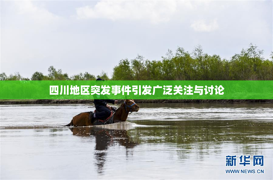 四川地区突发事件引发广泛关注与讨论