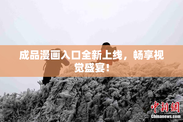 成品漫画入口全新上线，畅享视觉盛宴！