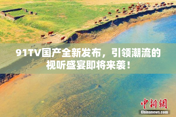 91TV国产全新发布，引领潮流的视听盛宴即将来袭！