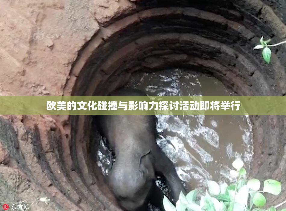欧美的文化碰撞与影响力探讨活动即将举行
