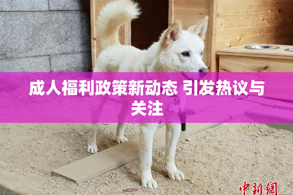 成人福利政策新动态 引发热议与关注