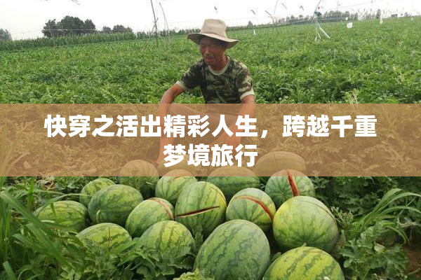 快穿之活出精彩人生，跨越千重梦境旅行