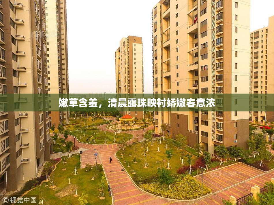 嫩草含羞，清晨露珠映衬娇嫩春意浓