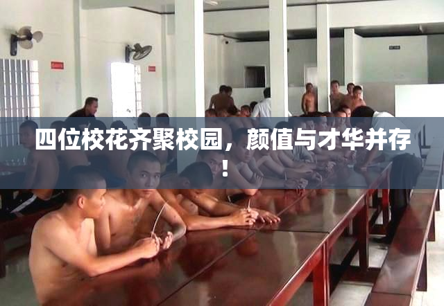 四位校花齐聚校园，颜值与才华并存！