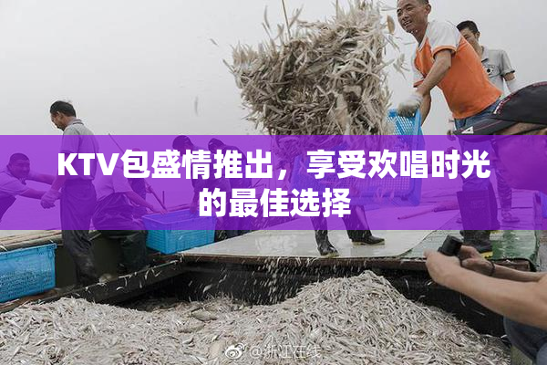 KTV包盛情推出，享受欢唱时光的最佳选择
