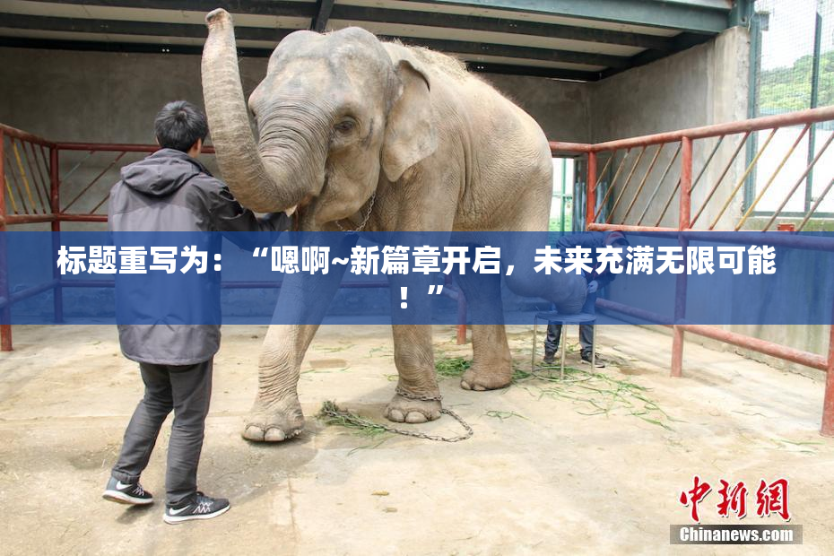 标题重写为：“嗯啊~新篇章开启，未来充满无限可能！”