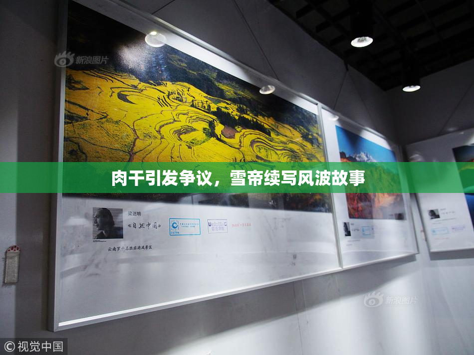 肉干引发争议，雪帝续写风波故事