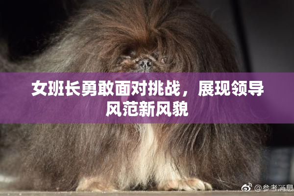 女班长勇敢面对挑战，展现领导风范新风貌