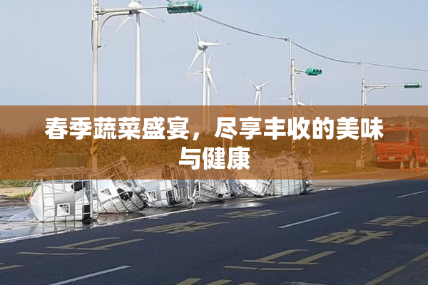 春季蔬菜盛宴，尽享丰收的美味与健康