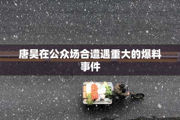 唐昊在公众场合遭遇重大的爆料事件