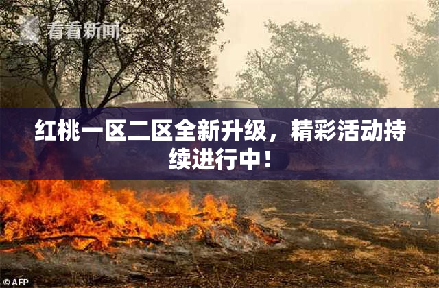 红桃一区二区全新升级，精彩活动持续进行中！