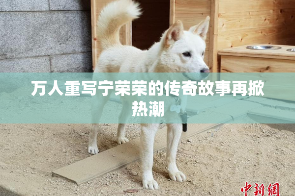 万人重写宁荣荣的传奇故事再掀热潮