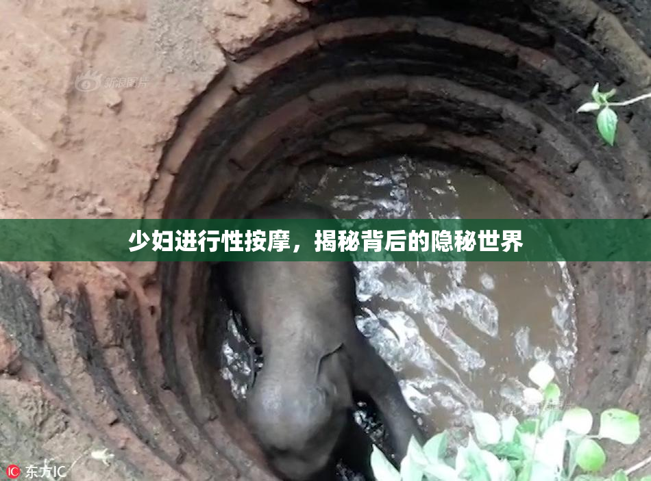 少妇进行性按摩，揭秘背后的隐秘世界