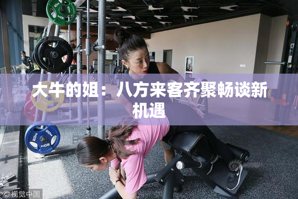 大牛的姐：八方来客齐聚畅谈新机遇