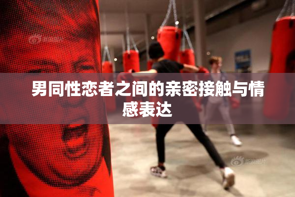 男同性恋者之间的亲密接触与情感表达