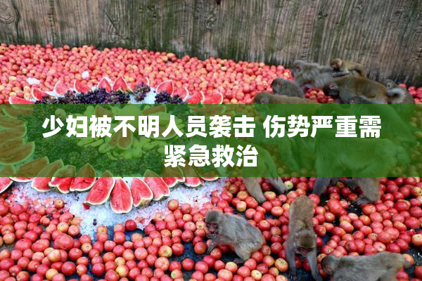少妇被不明人员袭击 伤势严重需紧急救治