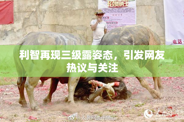利智再现三级露姿态，引发网友热议与关注