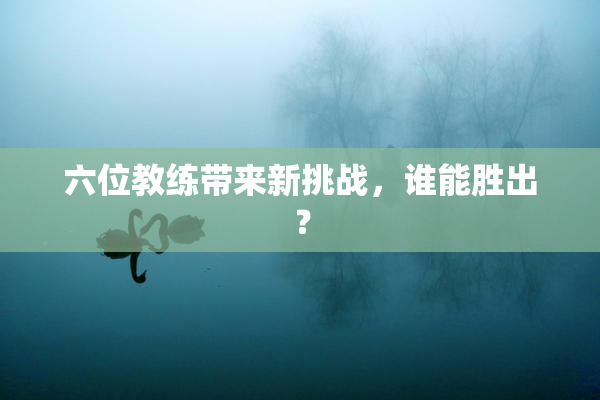 六位教练带来新挑战，谁能胜出？