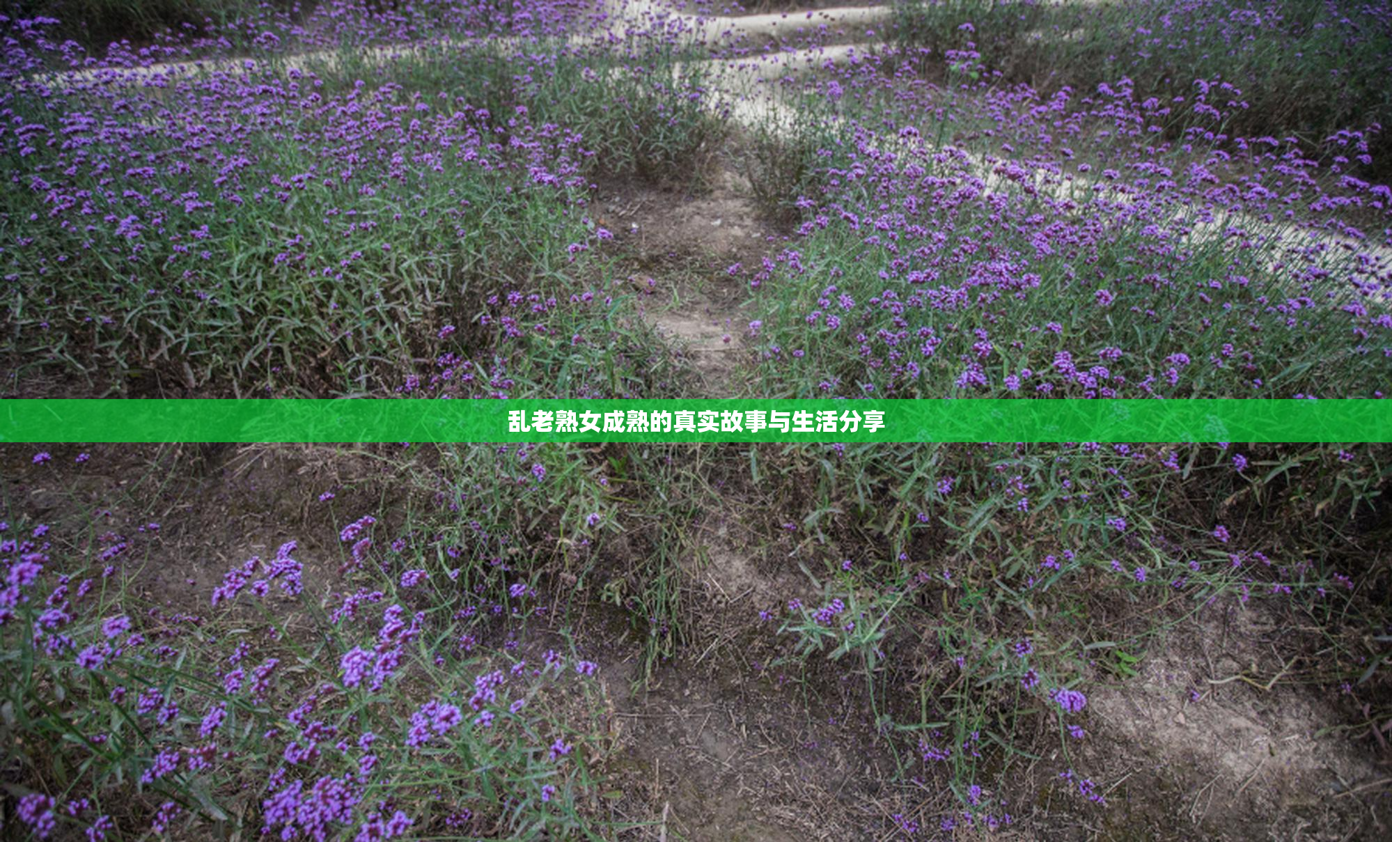 乱老熟女成熟的真实故事与生活分享