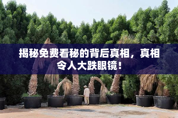 揭秘免费看秘的背后真相，真相令人大跌眼镜！