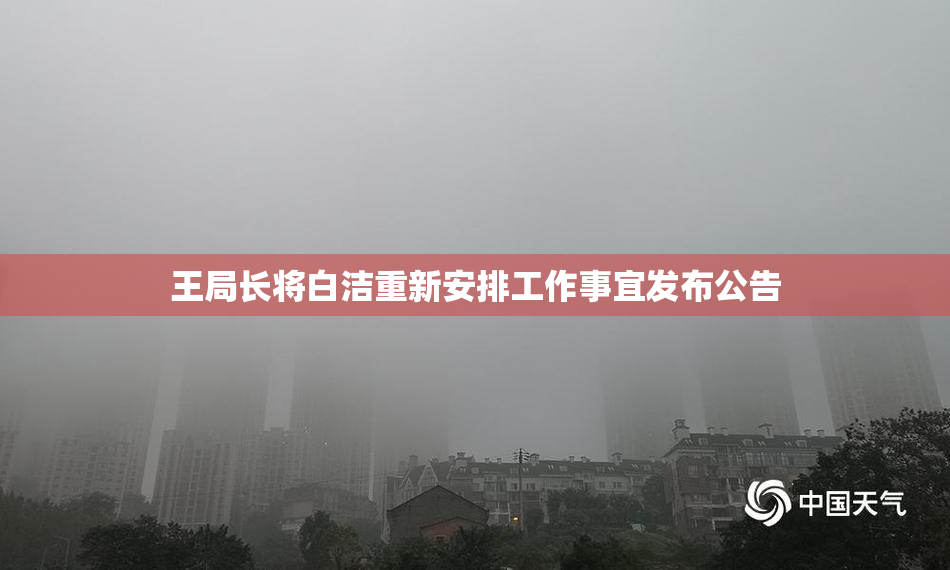 王局长将白洁重新安排工作事宜发布公告