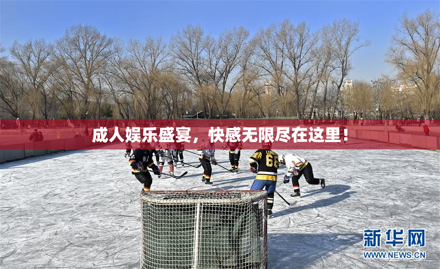 成人娱乐盛宴，快感无限尽在这里！