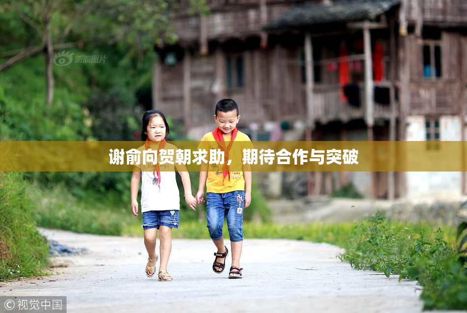 谢俞向贺朝求助，期待合作与突破
